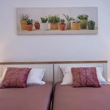 Hipocampos En Apartment *